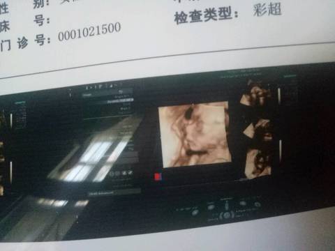 journal_insert_pic_928500249
