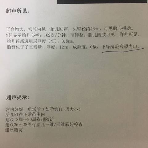 journal_insert_pic_928733102