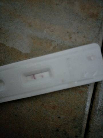journal_insert_pic_928716500