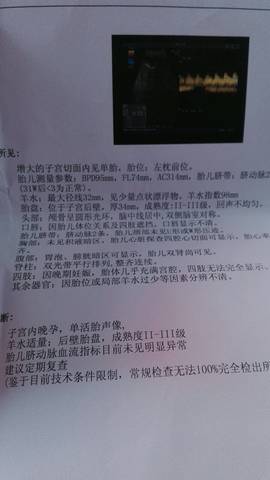 journal_insert_pic_928575777