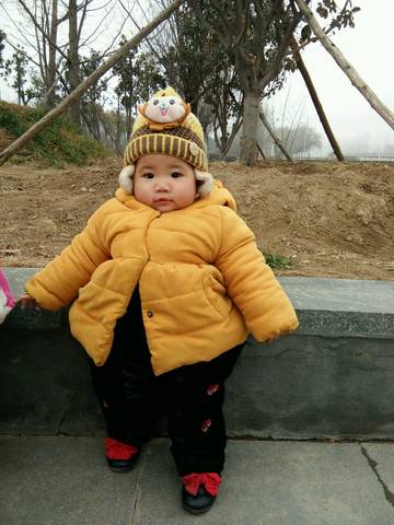 journal_insert_pic_929434206