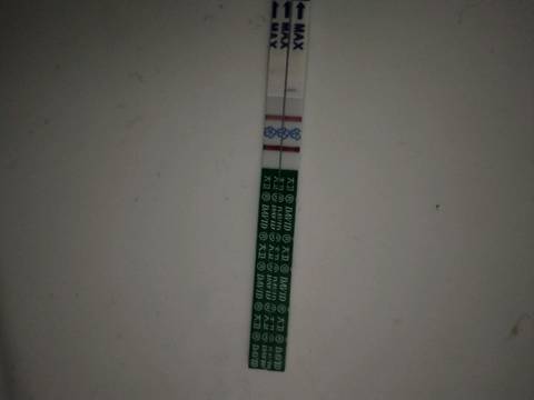 journal_insert_pic_928981307