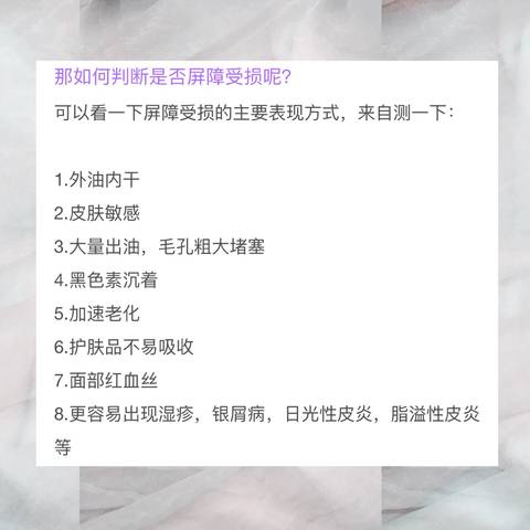 journal_insert_pic_929521808