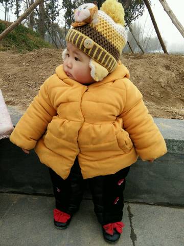 journal_insert_pic_929434074