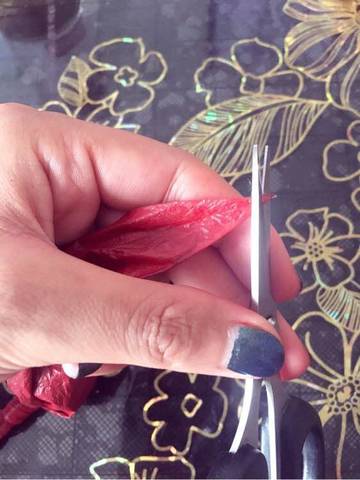 journal_insert_pic_929339443