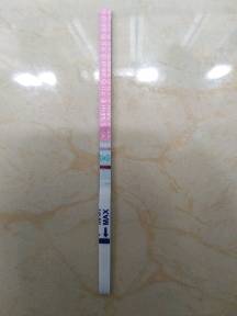 journal_insert_pic_929708712