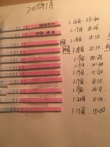 journal_insert_pic_929843845