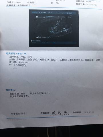 journal_insert_pic_930522540