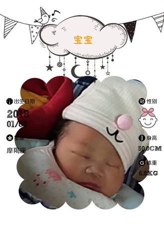 journal_insert_pic_930265354