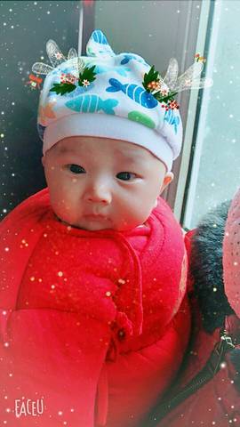journal_insert_pic_930574194