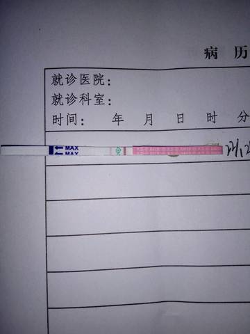 journal_insert_pic_930861788