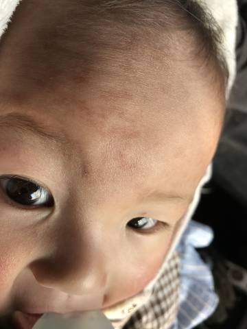 journal_insert_pic_930805300