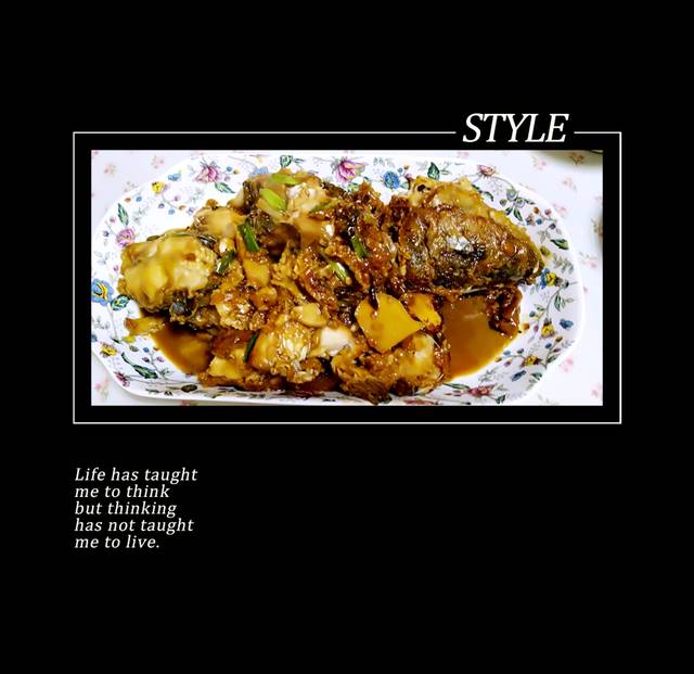 journal_insert_pic_931078433