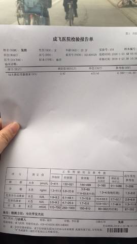 journal_insert_pic_931147628