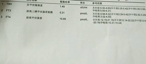 journal_insert_pic_931046055