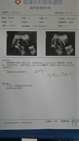 journal_insert_pic_931101142