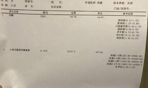 journal_insert_pic_931825510