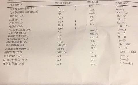 journal_insert_pic_932115955