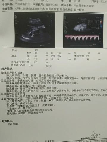 journal_insert_pic_933032396