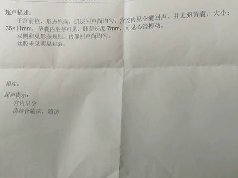 journal_insert_pic_933457338
