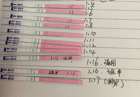 journal_insert_pic_933540385