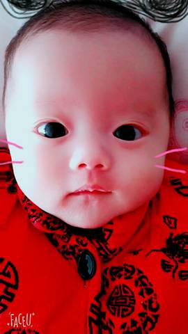 journal_insert_pic_933435650