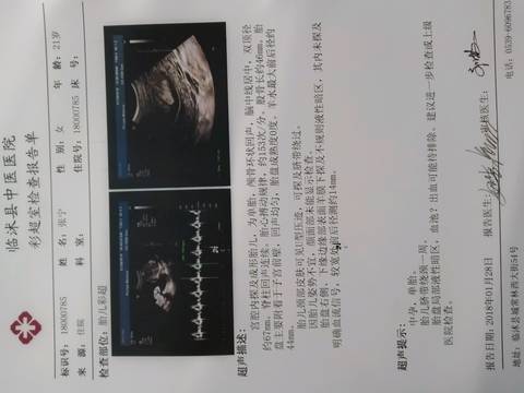 journal_insert_pic_934286528