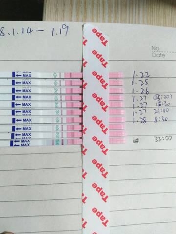 journal_insert_pic_934583646