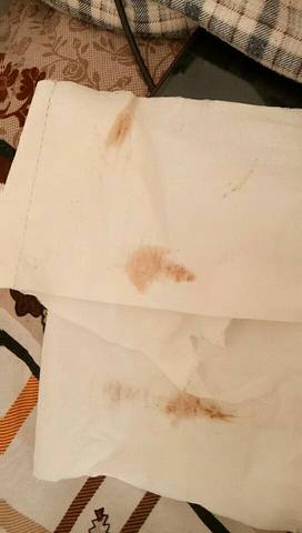 journal_insert_pic_934883741