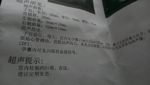 journal_insert_pic_935122515