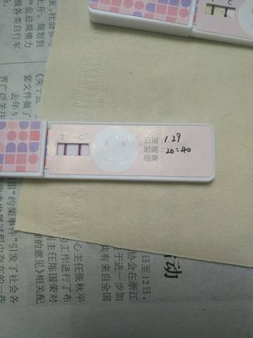 journal_insert_pic_935165504