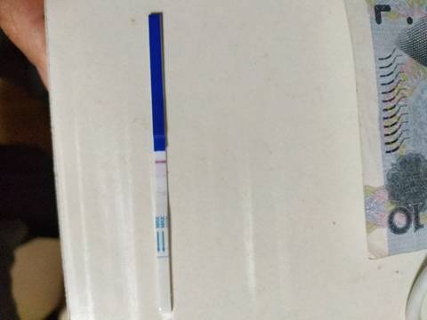 journal_insert_pic_934747041