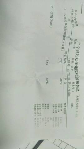 journal_insert_pic_935038718