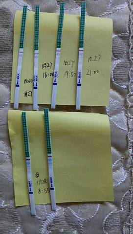 journal_insert_pic_934757633
