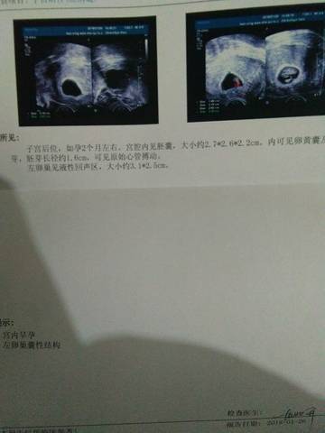 journal_insert_pic_935679430