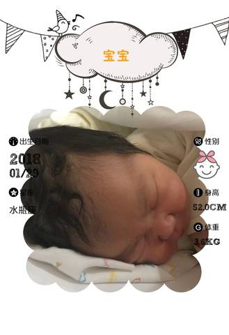 journal_insert_pic_935351110