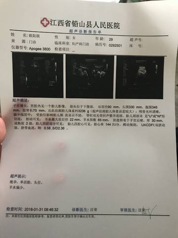 journal_insert_pic_936132579