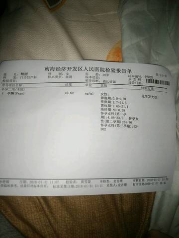 journal_insert_pic_936334454