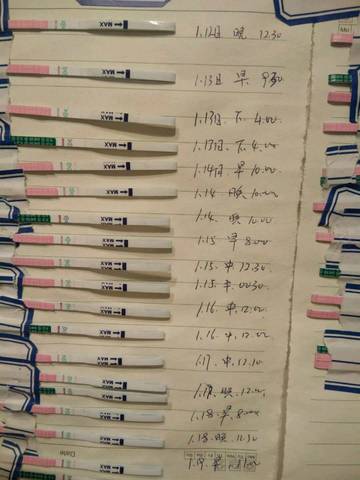 journal_insert_pic_936725979