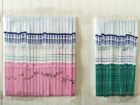 journal_insert_pic_937882881