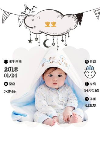 journal_insert_pic_938105808