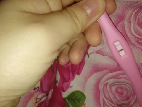 journal_insert_pic_937738326