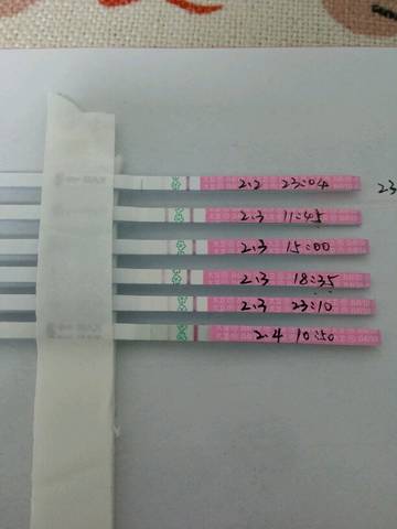 journal_insert_pic_938399892