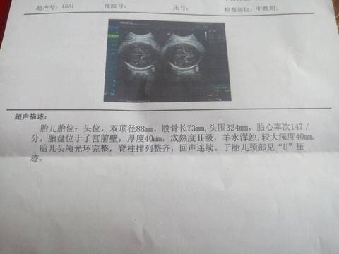 journal_insert_pic_939209740
