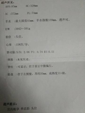journal_insert_pic_939300350
