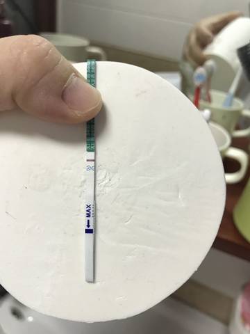 journal_insert_pic_939702557