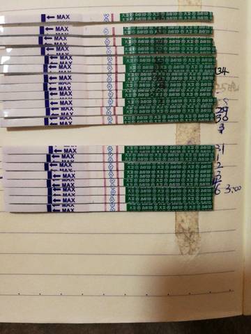 journal_insert_pic_940530497