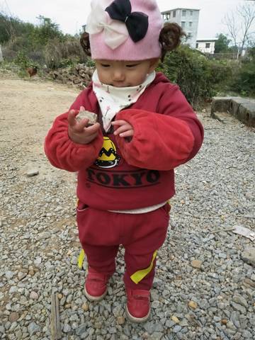journal_insert_pic_940541630
