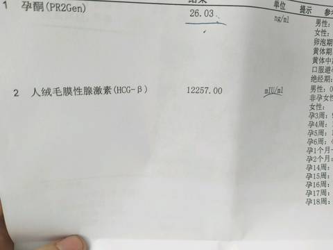 journal_insert_pic_940350391