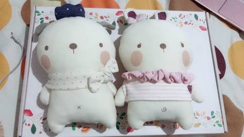 journal_insert_pic_940163090